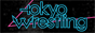 Tokyo Wrestling